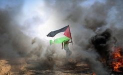 Fédération SUD Collectivités Territoriales : Gaza : STOP au Massacre !!